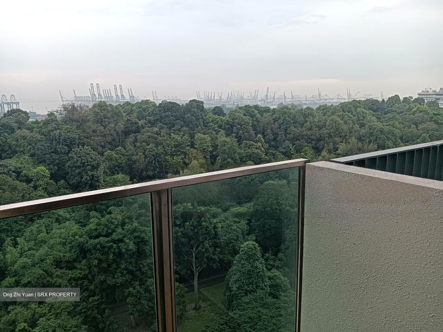 Normanton Park (D5), Apartment #571809861